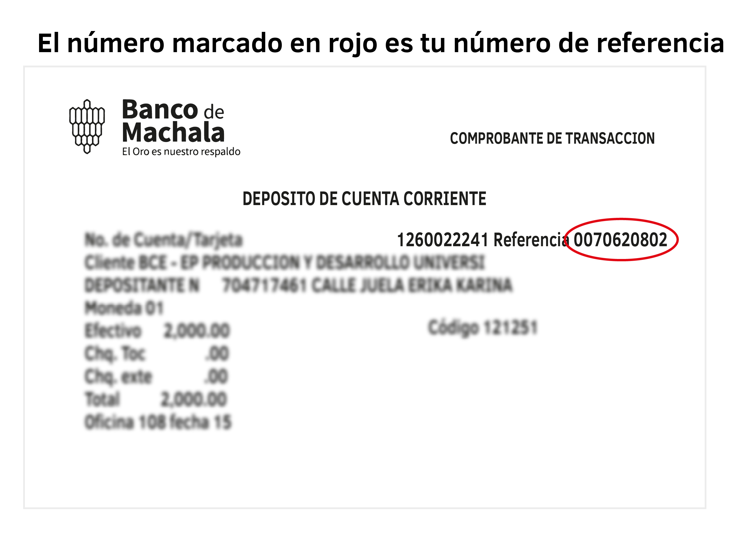 BANCO DE MACHALA